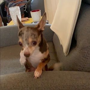 Meet your Posher, Paula